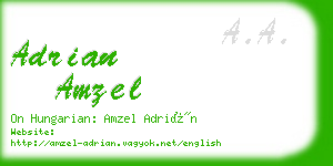 adrian amzel business card